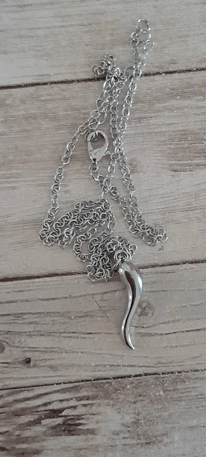 Amulet ketting, Italiaanse hoorn, zilverkleurige kleur – photo 5